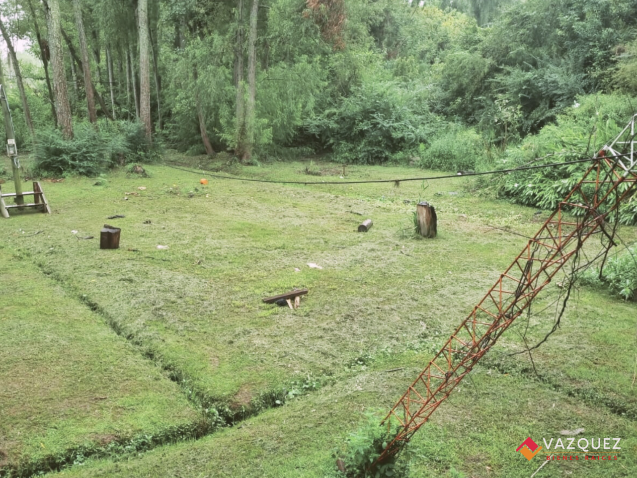 Isla en el Tigre Parana de Las Palmas