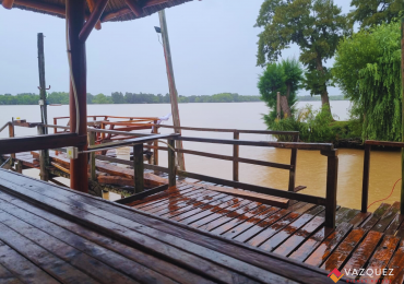 Isla en el Tigre Parana de Las Palmas